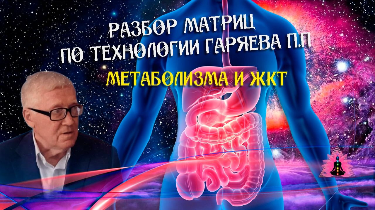 Расшифровка матриц метаболизма и ЖКТ смотреть онлайн