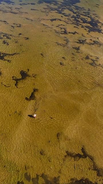 Вьетнам — мелководная лагуна | DJI Avata смотреть онлайн