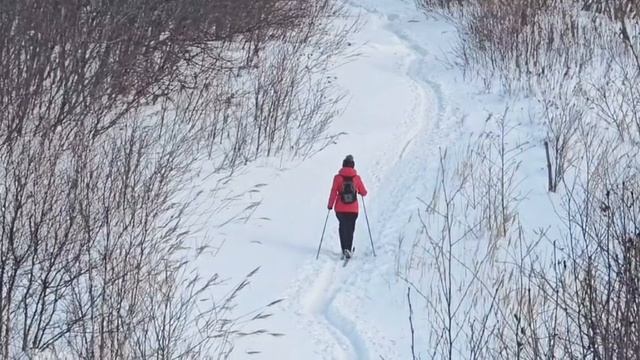 Свет - Я дерзаю (сборник) ИИ Иисусовый Интеллект смотреть онлайн