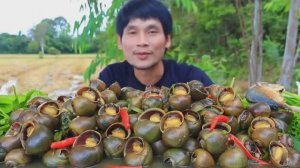 МУКБАНГ Улитки с соусом из Чили и рисом! Очень вкусно😋