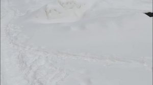 ПОКУПКИ В МАГАЗИНЕ К ПОХУДЕНИЮ, ВОПРОС КО ВСЕМ ПО ХОДУ ПРОГУЛКИ, ПРОСТО ПОБОЛТАЮ С ВАМИ КАК ВСЕГДА