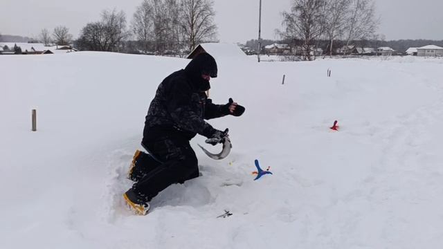 27-01-2026 смотреть онлайн