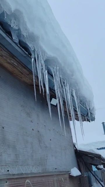 Зима похоже разбушевалась сегодня 🤔 добрых и светлых всеми намерений, таких как этот белый снег смотреть онлайн