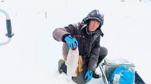 запуск от 27.01.26