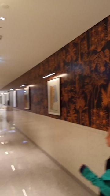 Один из туалетов в Дубай Молле. смотреть онлайн