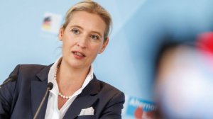 Вайдель: в случае победы партия АдГ потребует от Киева компенсацию за помощь ВСУ