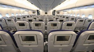 Женщина умерла на плече у матери во время перелета из США в Британию