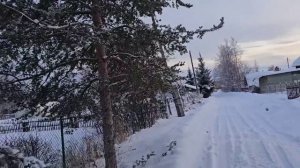 НАКОНЕЦ-ТО ЭТО СЛУЧИЛОСЬ! УРА, ВЕЗУТ! ТОПЛЮ БАНЮ, ГОТОВЛЮ КАРТОШКУ С ТУШЁНКОЙ.