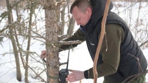 Хабаровском крае увеличили количество специальных мобильных групп по отлову тигров обращения обрабат