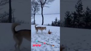 ко мне не подходите