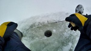 Рыбалка на ротана проверка