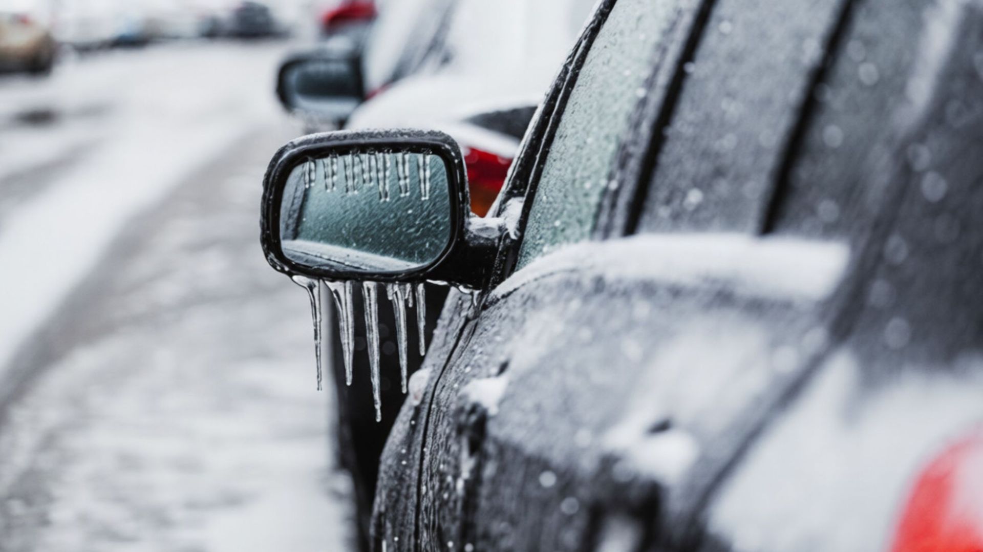 Ледяной дождь в Беларуси. Снежный вихрь с дождем в центральной части Казахстана. Погода в СНГ смотреть онлайн