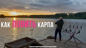 Соревнования РСК Павловский. Как поймать крупного карпа? Карпфишинг 2025