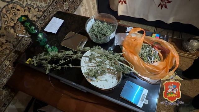В Подмосковье уроженец Закавказья, выращивавший коноплю в арендованном жилище, заключён под стражу смотреть онлайн