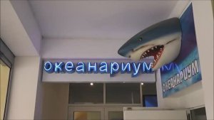 АНАПА, 2014.  Океанариум