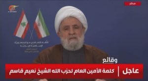 Генеральный секретарь "Хезболлы" шейх Наим Касем: Мы имеем полное право предпринимать любые действия