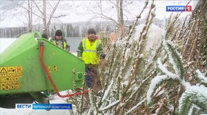 ГТРК СЛАВИЯ Переработка новогодних ёлок 24.01.26