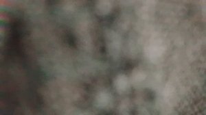 4 ребята извините тут кажется не четыре и тут очень много