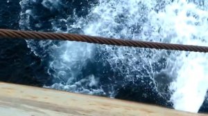 ПОЙМАЛИ АКУЛУ НА УДОЧКУ