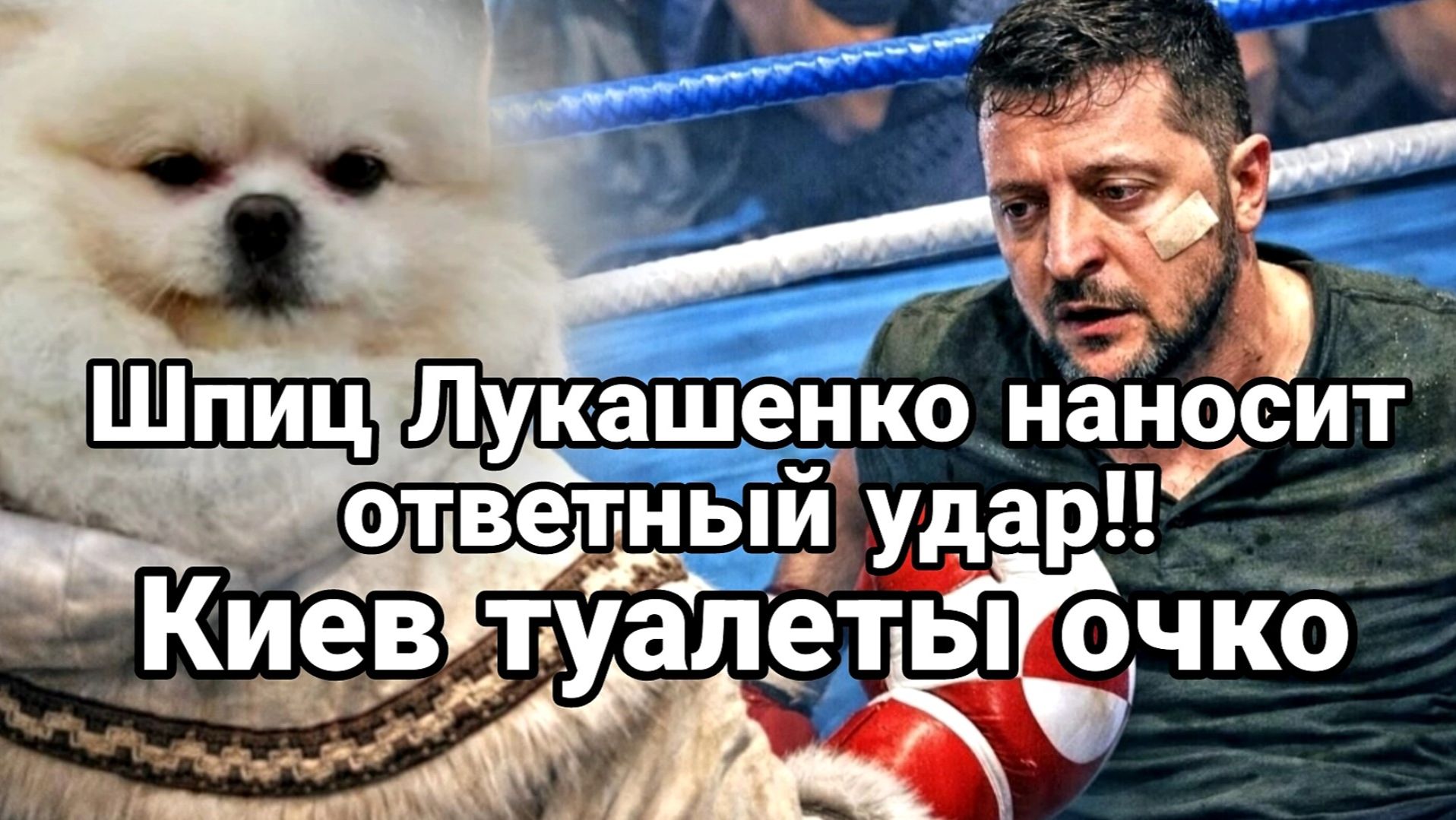 ТАМИР ШЕЙХ / ШПИЦ ЛУКАШЕНКО НАНОСИТ ОТВЕТНЫЙ УДАР! новости сводки смотреть онлайн