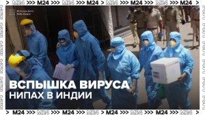 В Индии произошла вспышка вируса Нипах — Москва 24