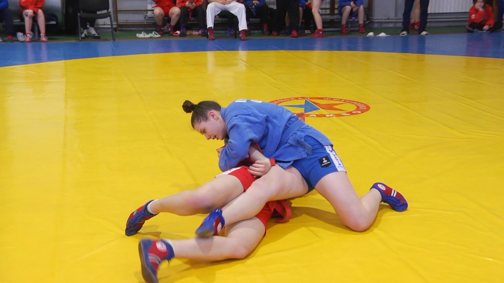 В Курганской области выбрали самбистов, которые представят регион на Первенстве УрФО смотреть онлайн