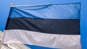 В посольстве РФ сочли невозможными переговоры с Эстонией по госгранице