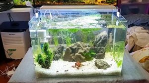 Бесшовный аквариум 37 литров