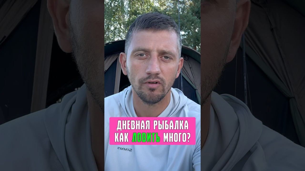 Ловля карпа и сазана. Как ловить МНОГО? Карпфишинг 2025 смотреть онлайн