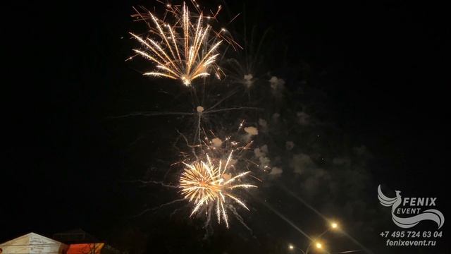 Заказать салют на праздник, свадьбу, юбилей и мероприятие в Москве - фейерверк на корпоратив смотреть онлайн