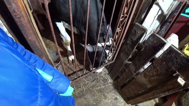 Влог от 14.02.2022 смотреть онлайн