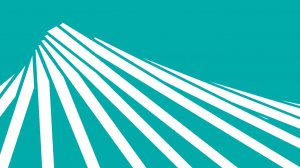 Операционный стандарт № 11 "Специальная техника"