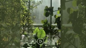 Beautiful Relaxing Music • Peaceful Piano Music & Guitar Music