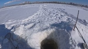 13.Зимняя рыбалка 25.01.2026 Проверка перемёта