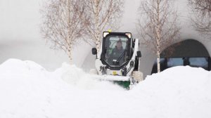 Месячная норма снега выпала в Москве после удара нового циклона