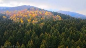 Осенняя роса, романс,  И нисколько мы с тобой не постарели, новый звук