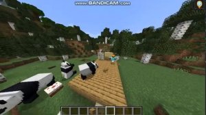 видео 4 года