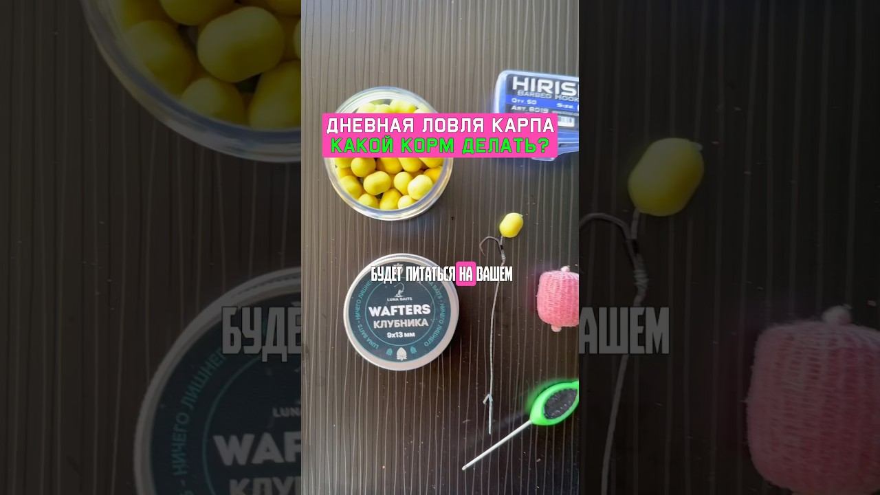 Как поймать много карпа ОСЕНЬЮ? смотреть онлайн