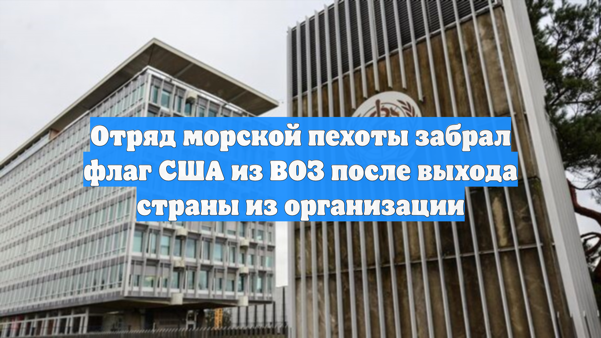 Представители США вынесли флаг страны из штаб-квартиры ВОЗ смотреть онлайн