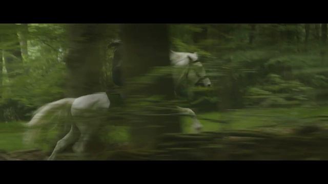 Белоснежка сказка нарезка для детей и детишек#2026 смотреть онлайн