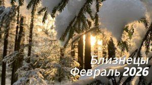 Прогноз для Близнецов на Февраль 2026