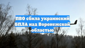 ПВО сбила украинский БПЛА над Воронежской областью