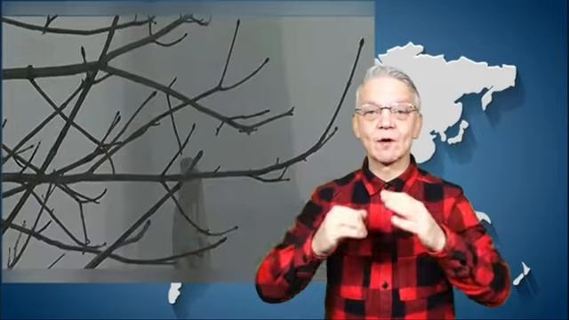 новости глухих 27.1.2026 смотреть онлайн