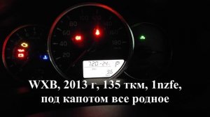 Испытываю TOYOTA на прочность: холодный пуск в -25°C после долгого простоя