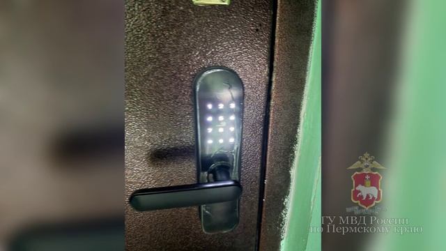 Пермская полиция задержала жителя Ростовской области, обслуживавшего узел связи онлайн-аферистов смотреть онлайн