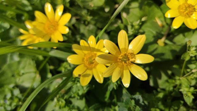 Один из дней города Евпатории | 19 апреля 2021 г | Крым | ХАН БАТОН XAH 6ATOH | VID_20210419_143116 смотреть онлайн