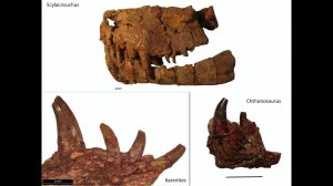 ПАЛЕОСТРАТ-2026 - День второй (третья часть)