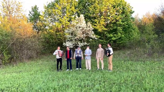 Песня о счастливой старости. Братья из Михайловки смотреть онлайн