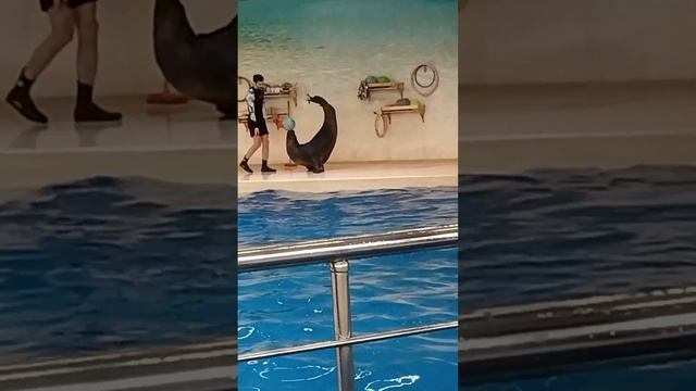 Миша в аквапарке