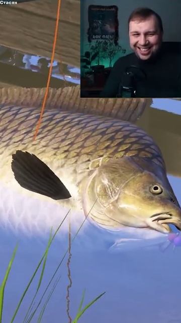 Трофеи не СХОДЯТ... Говорили ОНИ... ● Русская Рыбалка 4 | РР4 смотреть онлайн